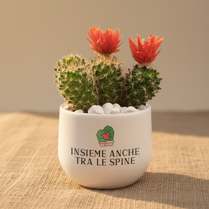 Insieme anche tra le spine