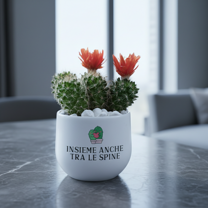 Insieme anche tra le spine