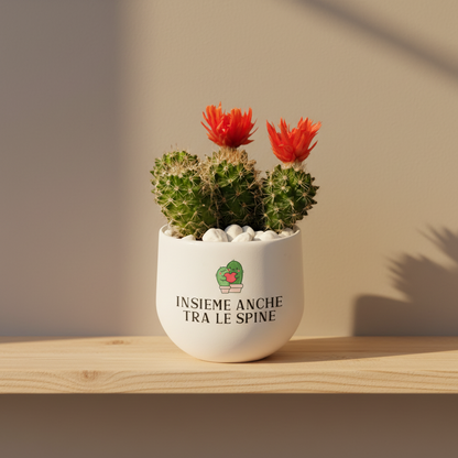 Insieme anche tra le spine