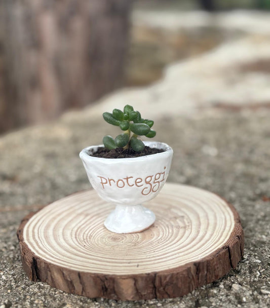 Proteggi