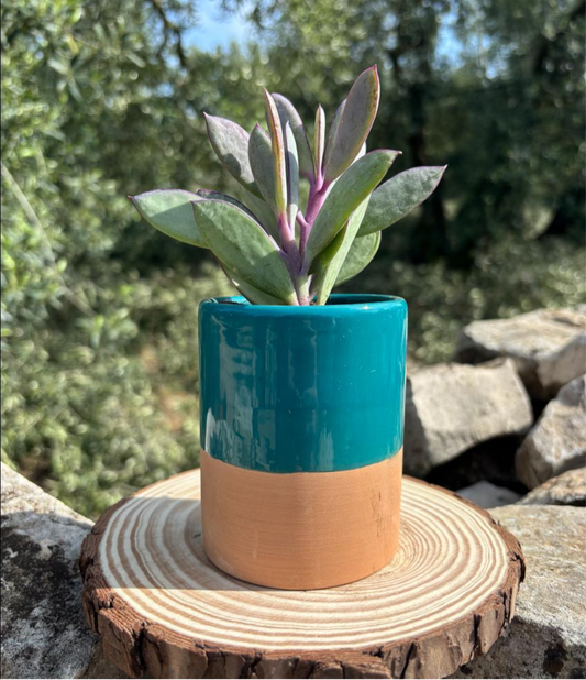 Vaso Bicolore Verde e Terracotta