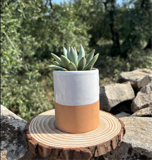 Vaso Bicolore Bianco e Terracotta