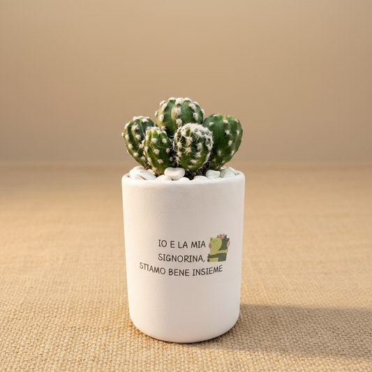 Io e la mia signorina