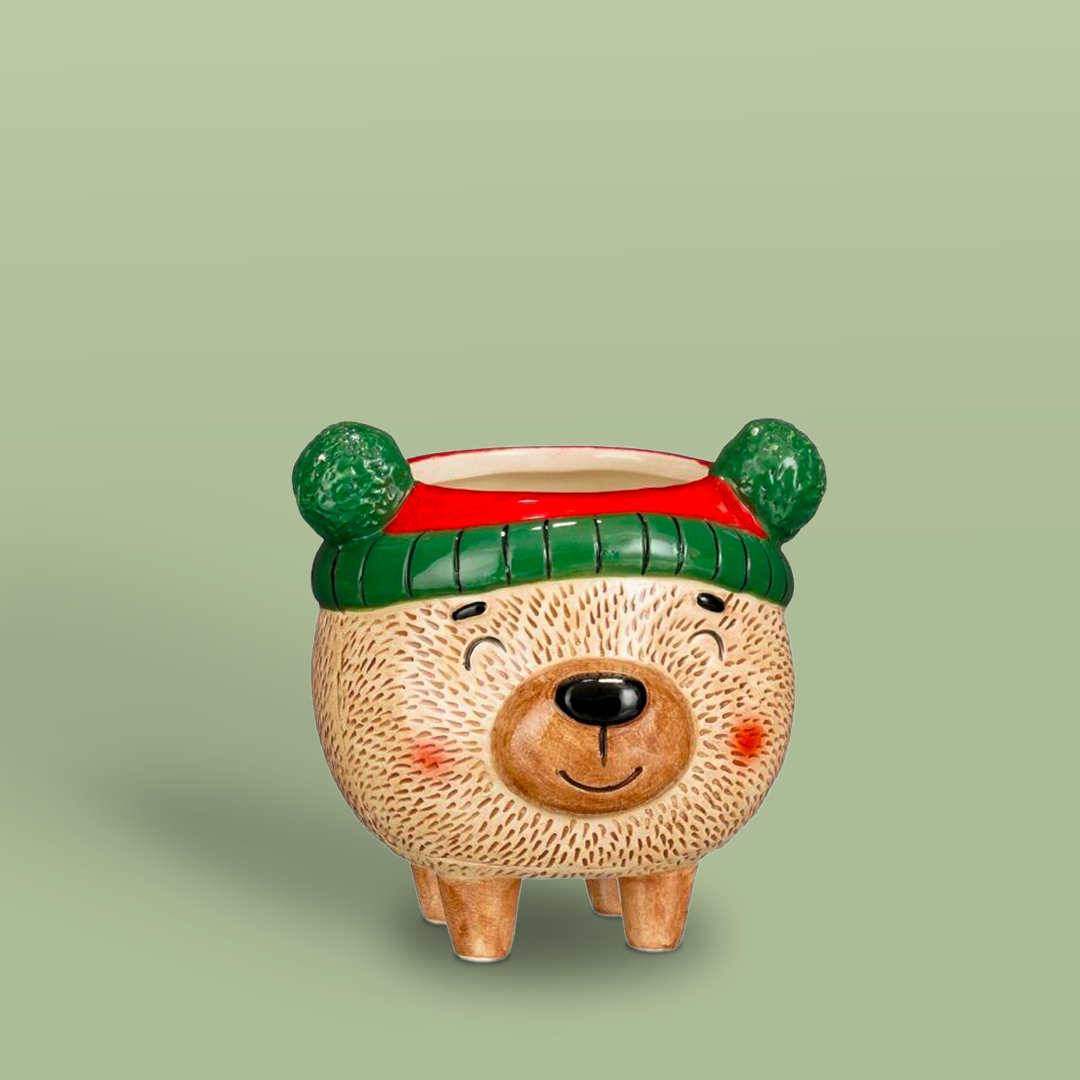 Teddy