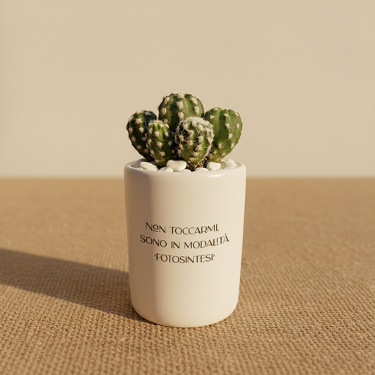 Non toccarmi sono in modalità fotosintesi