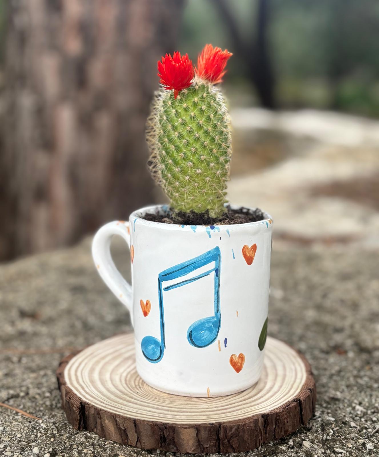 Sinfonia di cuori