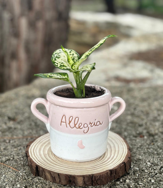 Allegria