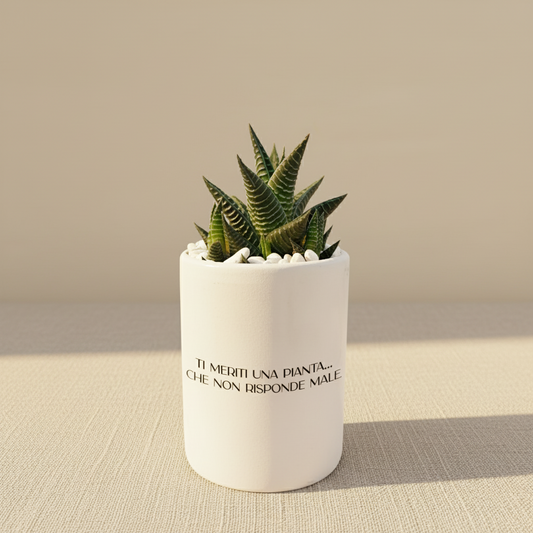 Ti meriti una pianta... che non risponde male